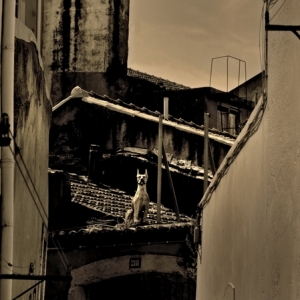 CQ0909_Vieux_Immeubles_de_Lisbonne_09