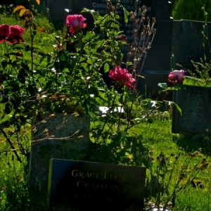 DW1214_Summer_Paradise_in_Cemetery_14