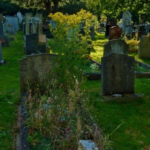 DW1221_Summer_Paradise_in_Cemetery_21