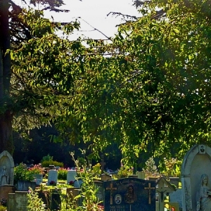 DW1222_Summer_Paradise_in_Cemetery_22