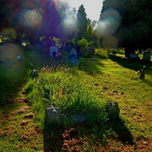 DW1224_Summer_Paradise_in_Cemetery_24