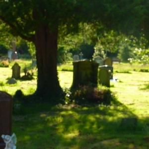 DW1226_Summer_Paradise_in_Cemetery_26