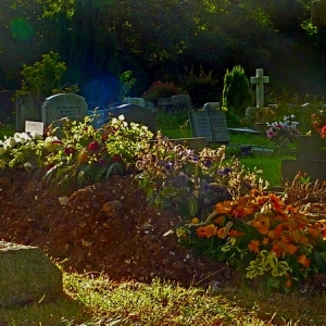 DW1231_Summer_Paradise_in_Cemetery_31