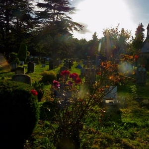 DW1233_Summer_Paradise_in_Cemetery_33