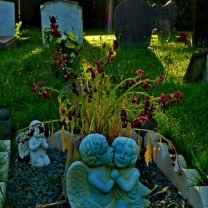 DW1255_Summer_Paradise_in_Cemetery_55