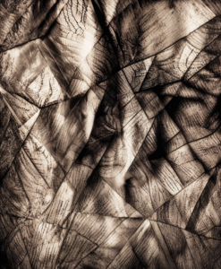 Disrupting AI out of curiosity, Diaphragme